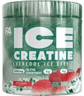 ICE CREATINE (FA) 300 г