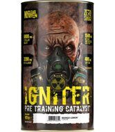 Igniter Pre Training (Nuclear Nutrition) 1 порция